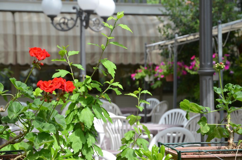 Hotel Monique Cervia Buitenkant foto